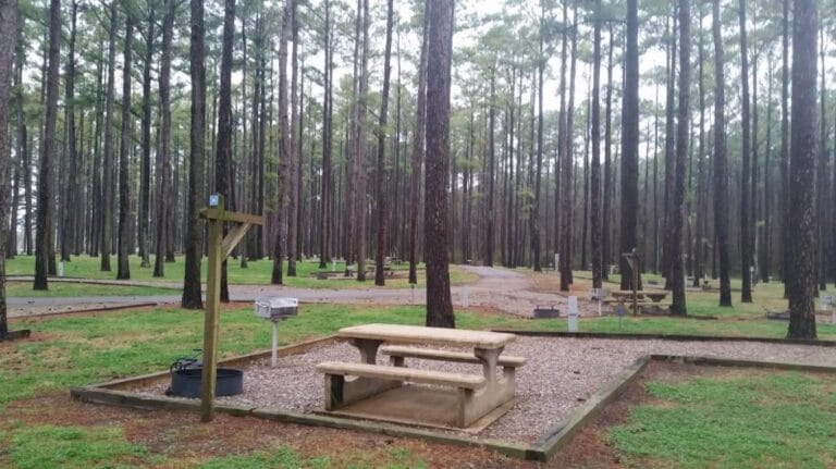 db9fa575 f575 40e5 80d7 2a6956c40302 ten3cadabc70e78fa55c 768x431