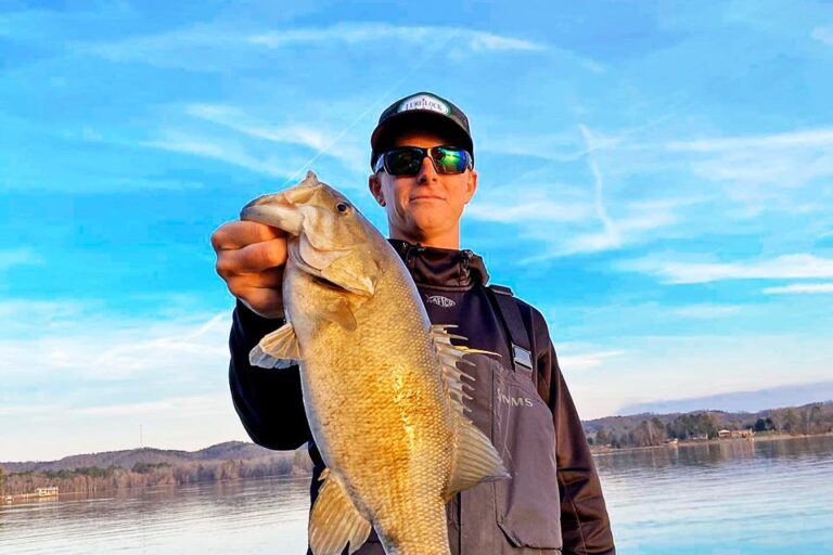 header 960x640 hnVault v12v2 768x512