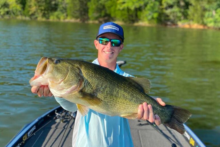 header 960x640 hn v7 768x512