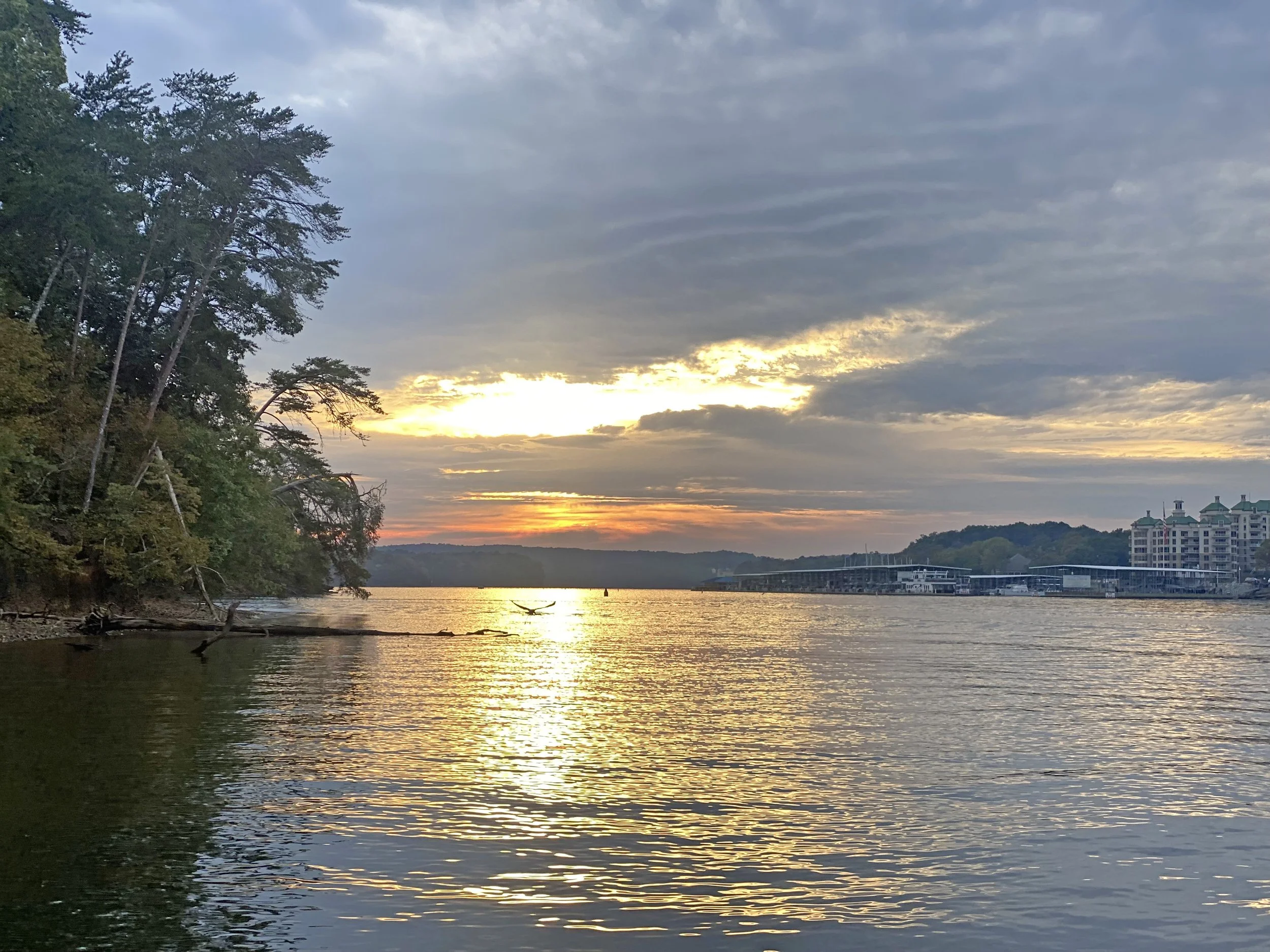 Things to do in Pickwick Lake TN