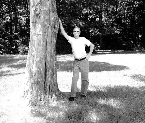 Pickwick Tree Service